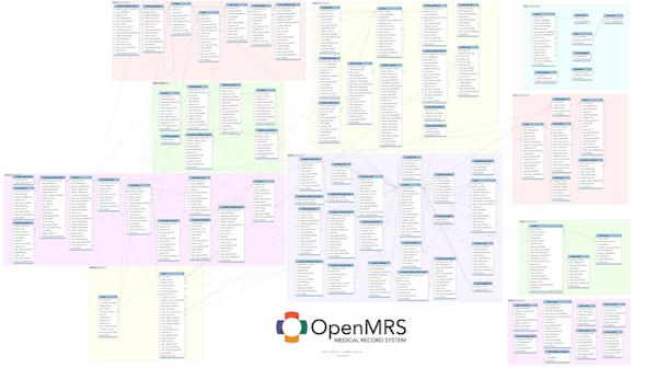 OpenMRS data model version 1.9. Details at http://om.rs/datamodel